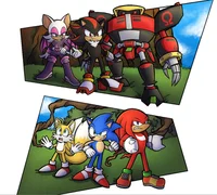 Team Dark Team Sonic