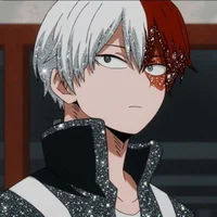Shoto Todoroki 