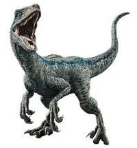 Velociraptor