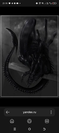 Xenomorphs