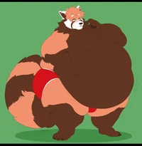 Zeta the Red Panda