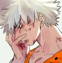 Bakugo experimento