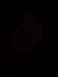 - INFO 