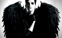 bill fallen angel