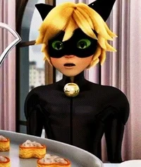 Chat Noir