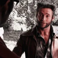 Wolverine