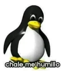 Chale me humillo