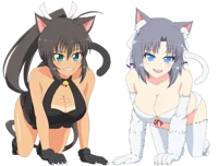 Cat Shinobi Girls