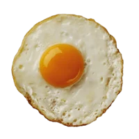 Fried Egg