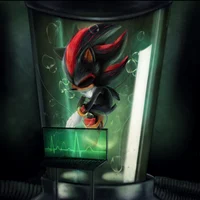 Shadow the hedgehog