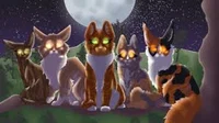warrior cats rp