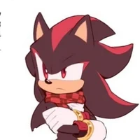 Shadow The Hedgehog