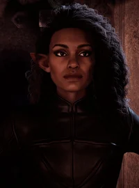 Teia Cantori