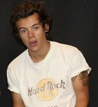 Harry Styles uni