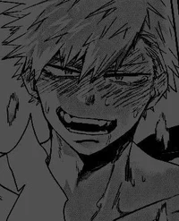 Katsuki Bakugou 