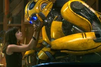 Bumblebee KV