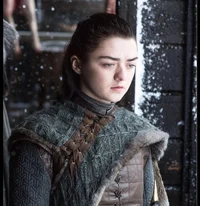 Arya M Stark