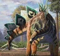Stegosaurus Stenops