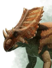 Chasmosaurus