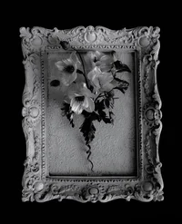 12 - kings of campus