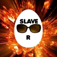 Slave VVR