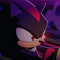 SHADOW T HEDGEHOG 