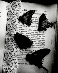 18 - rosewyn secrets