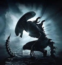 Xenomorph