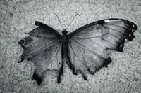 05 - ebyt characters