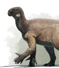 Iguanodon galvensis