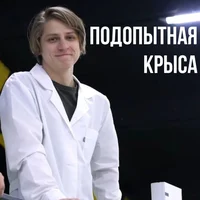 Мамикс