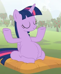 Twilight sparkle 