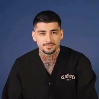 Zayn Malik - 2025