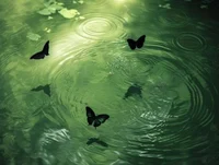 000 - ABOUT THE BOTS