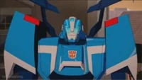 Blurr RID