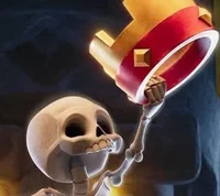Skeleton -CR and COC