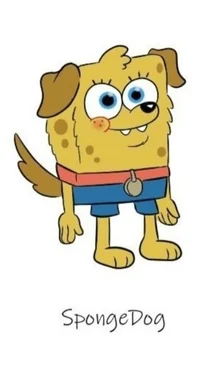 SpotBob