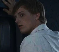 4THG peeta mellark