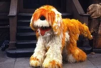 Barkley 