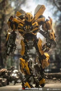 Bumblebee- Bay