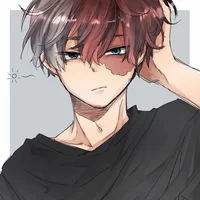 Shoto Todoroki