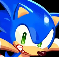 Sonic Cookie