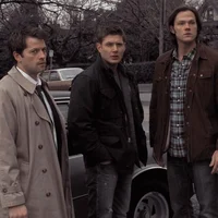 TEAM FREE WILL