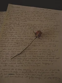 Alex - Writer