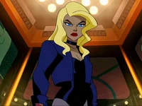 DCAU Black Canary