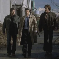 TEAM FREE WILL