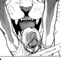 Lev Haiba 