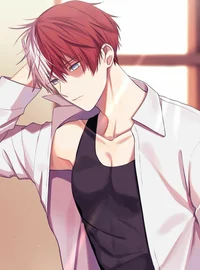 Shoto todoroki