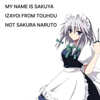 Sakuyas revenge