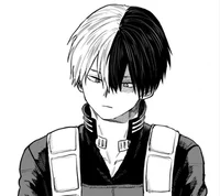 Shoto Todoroki 